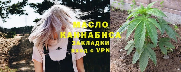 индика Балабаново