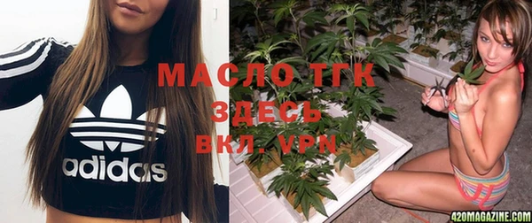 индика Балабаново